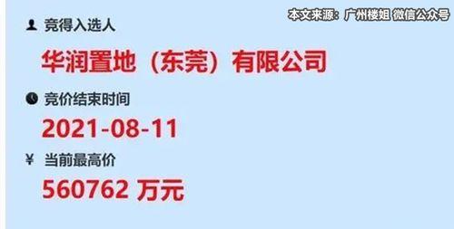 东莞国贸爆料最新消息今天,今日热点事件深度解析！”
