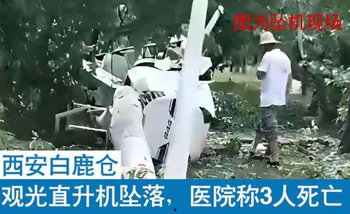 白鹿被媒体爆料视频,揭秘幕后真相  第2张